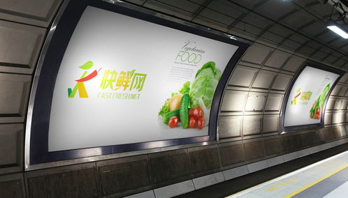 北京logo設(shè)計公司 互聯(lián)網(wǎng)果蔬食品logo設(shè)計及vi設(shè)計欣賞